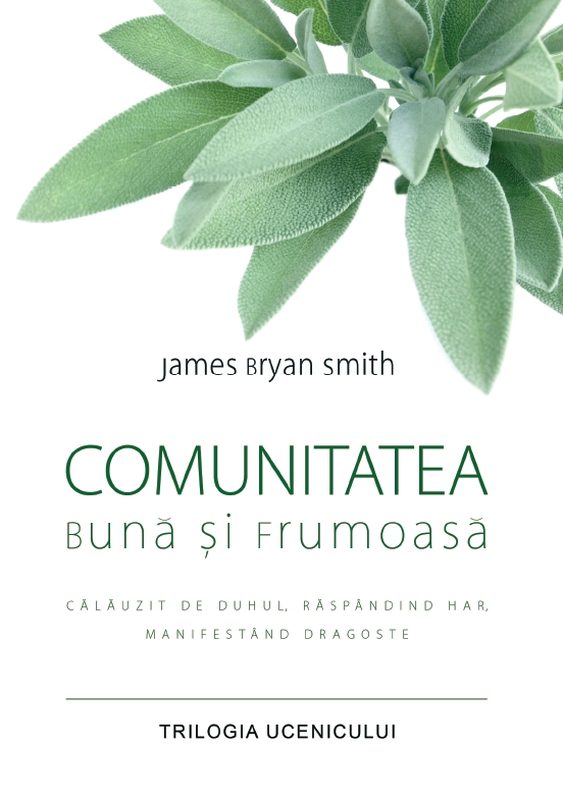 Comunitatea bună și frumoasă (Trilogia ucenicului)