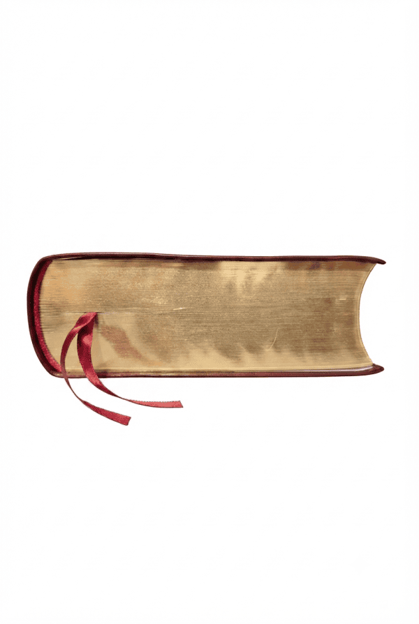 Gemini_Generated_Image_mddgxcmddgxcmddg Biblia de Studiu Cornilescu flexicover bordeaux